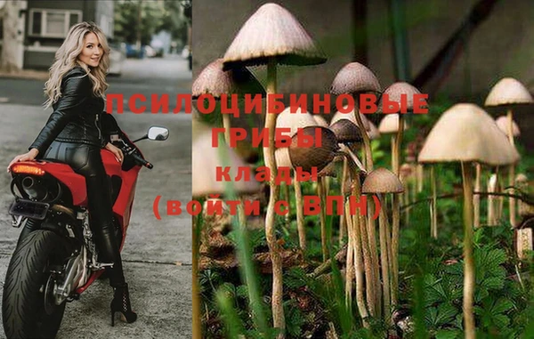 2c-b Гусь-Хрустальный