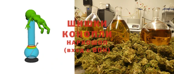соль ск Горнозаводск