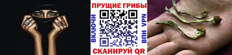 Галлюциногенные грибы MAGIC MUSHROOMS  Златоуст 